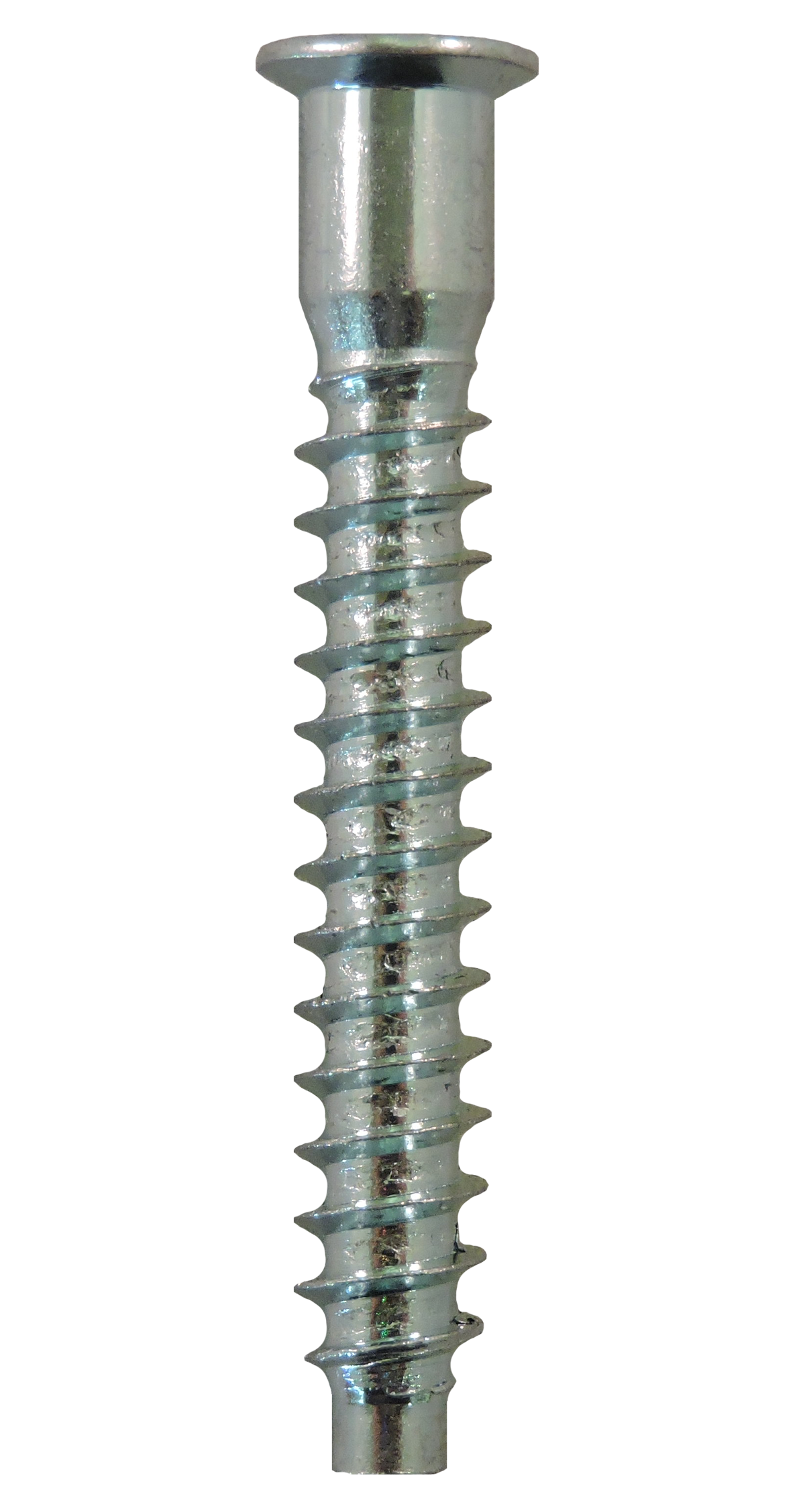 Confirmat Type Screw  