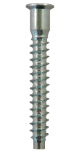 Confirmat Type Screw  