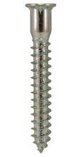 Confirmat Type Screw  